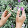 Fingernägel mit Blumendesign