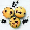 Schwarze Johannisbeer-Muffins 
