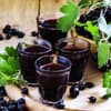 Saft aus Schwarzer Johannisbeere Saft aus Schwarzer Johannisbeere