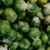 Rosenkohl