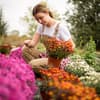 Was im Herbst pflanzen? 