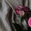 Dark Romance Buchtipps