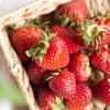 Erdbeeren 