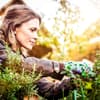 Frau mit Gartenhandschuhen beschneidet Pflanzen