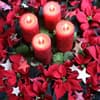 Adventskranz mit Kerzen und roten Weihnachtssternen