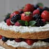 Beerenschichttorte Birdslikecake