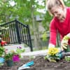 Frau mit Gartenhandschuhen pflanzt Blumen in ein Beet