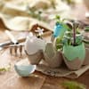 Kleine Pflanzen in bemalten Eierschalen für Ostern