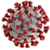 Coronavirus in seiner Struktur