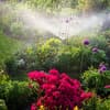 Gartenbewässerung im Sommer