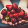 Erdbeeren