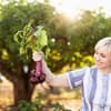 Frau mit frisch geernteter Roter Bete
