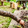 Hochbeet selber bauen und befüllen: So geht's