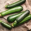 Zucchini