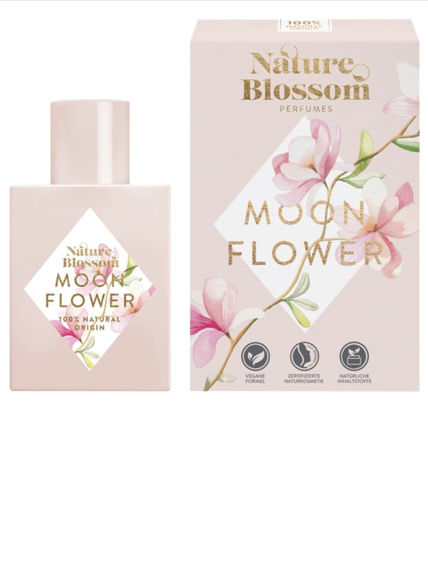 Moon Flower Nature Blossom