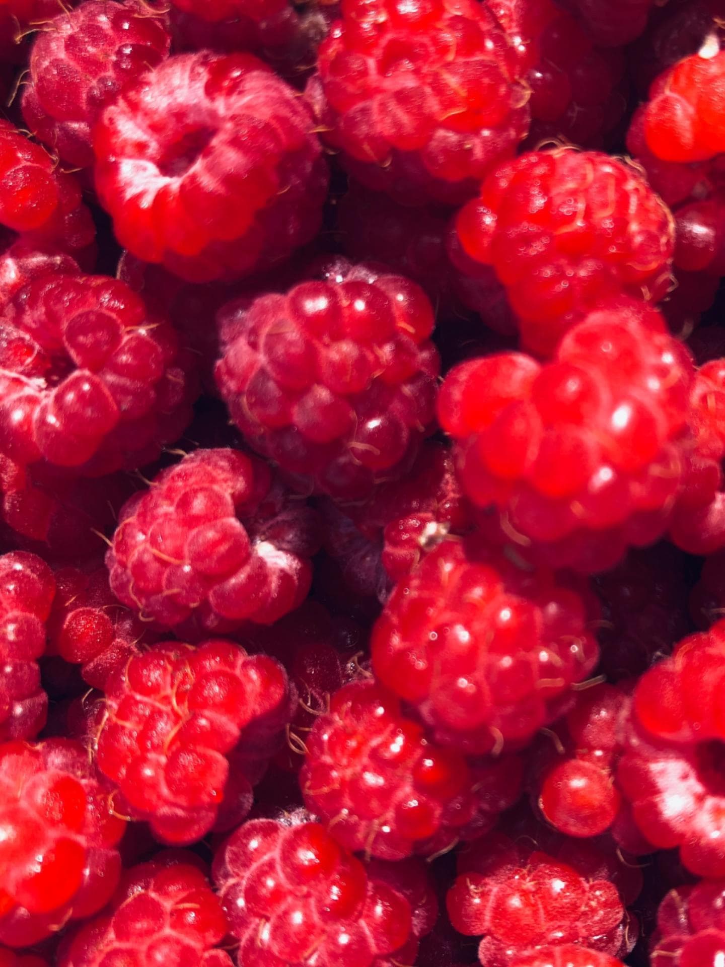 Himbeeren anbauen: 2 Tipps fr eine ppige Ernte