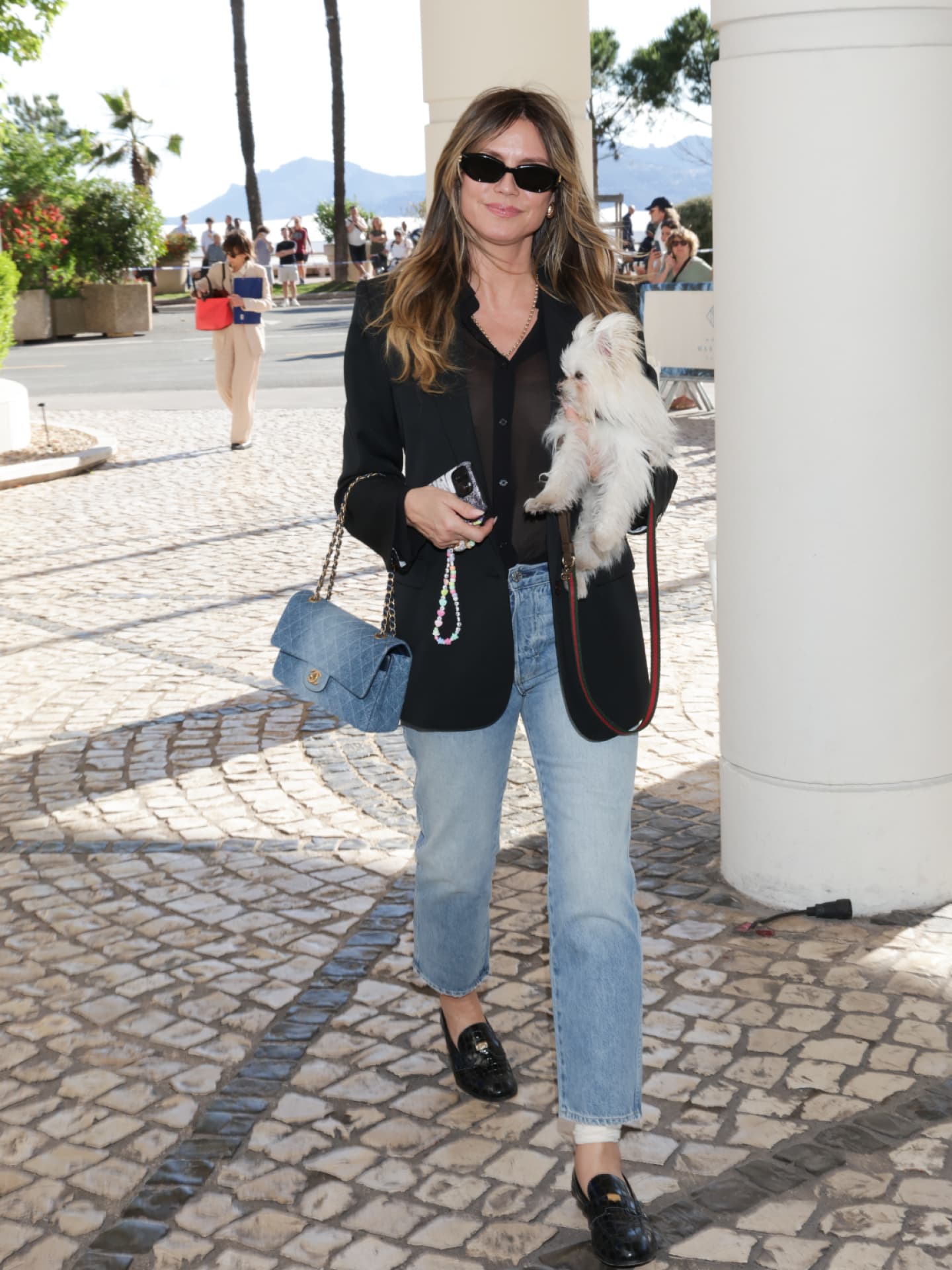 Heidi Klum mit ihrem Hund Fritz in Cannes Heidi Klum mit ihrem Hund Fritz in Cannes