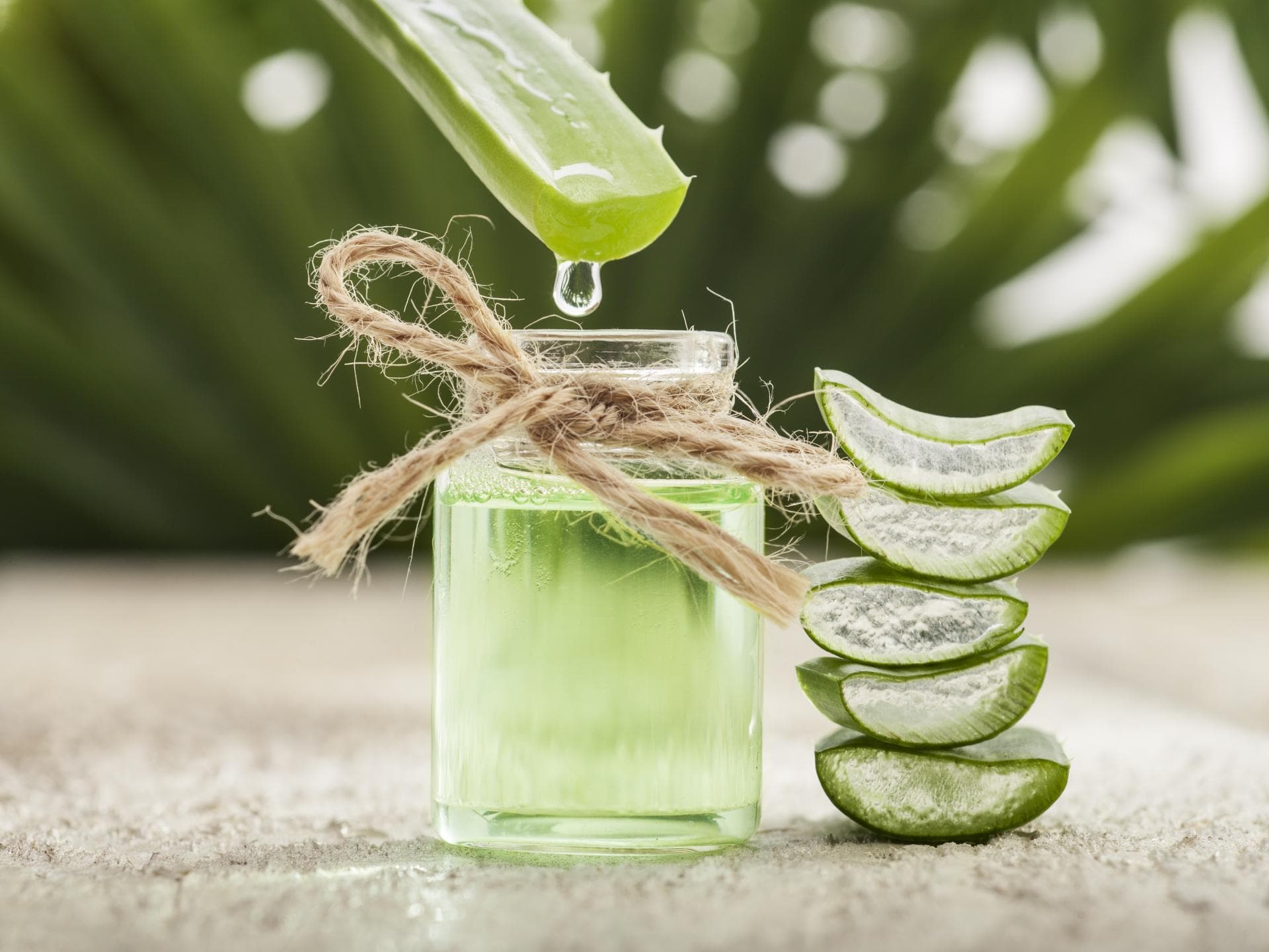 Aloe vera Gel selber machen