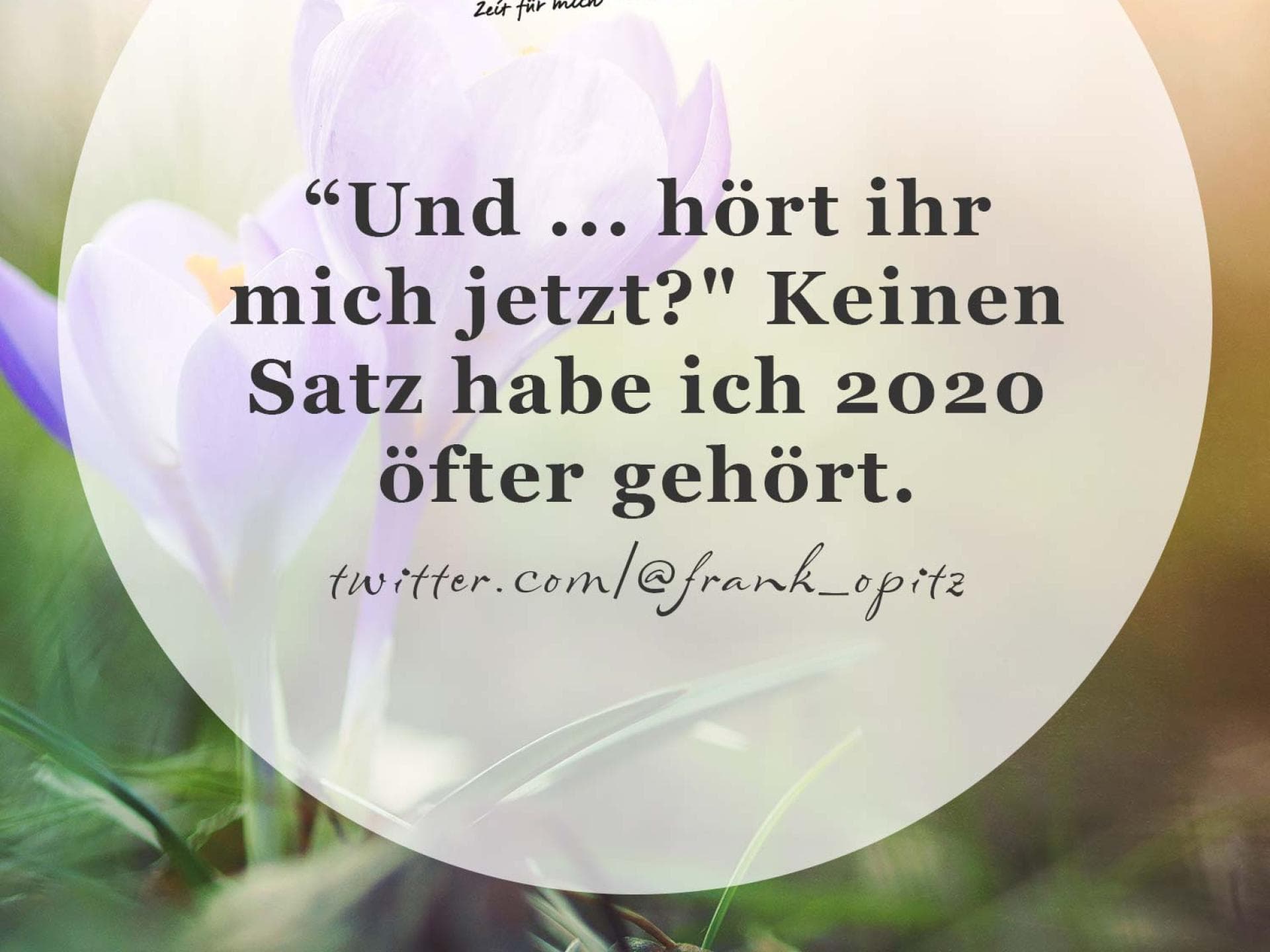 Spruch des Tages