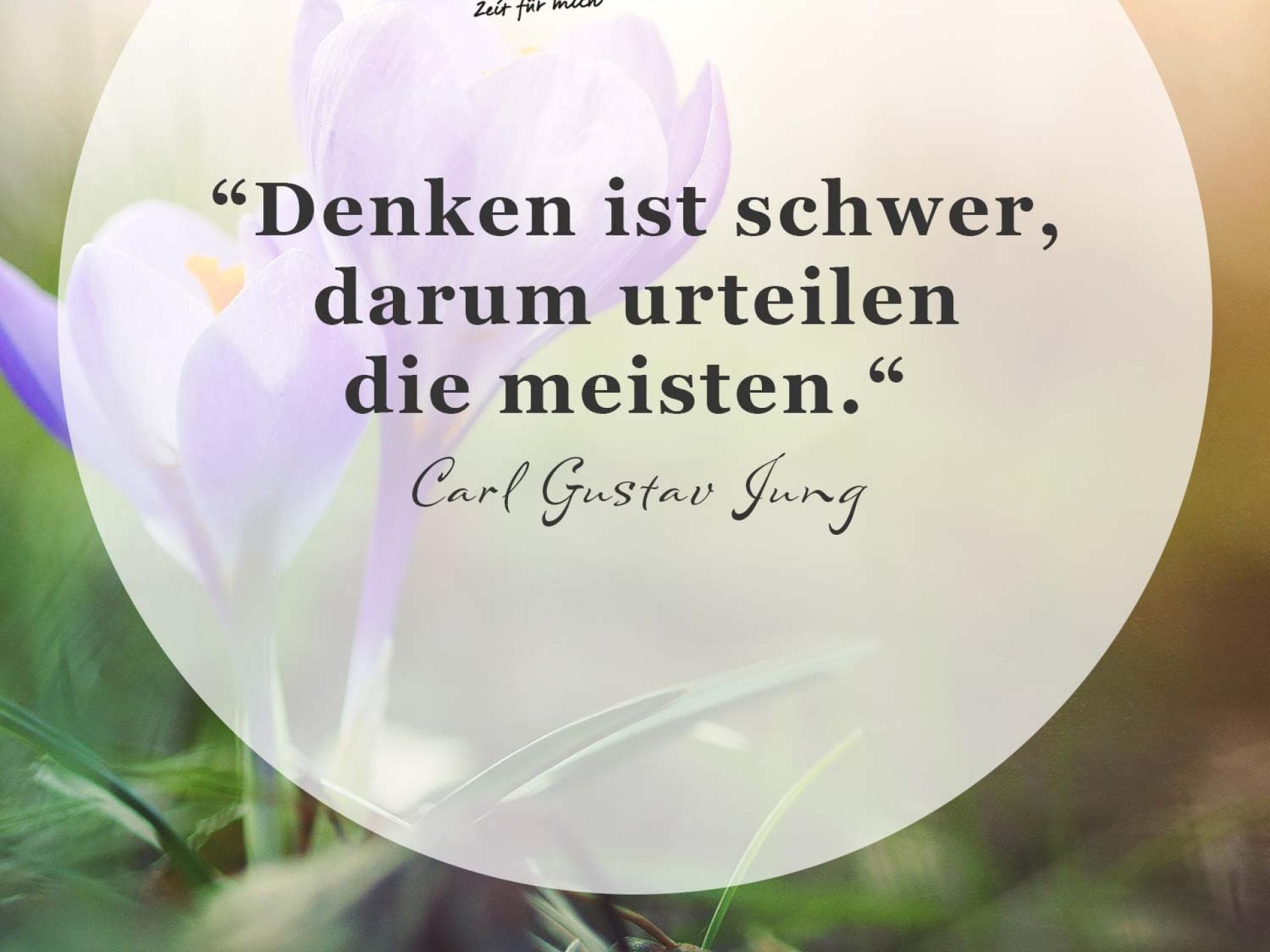 Spruch des Tages