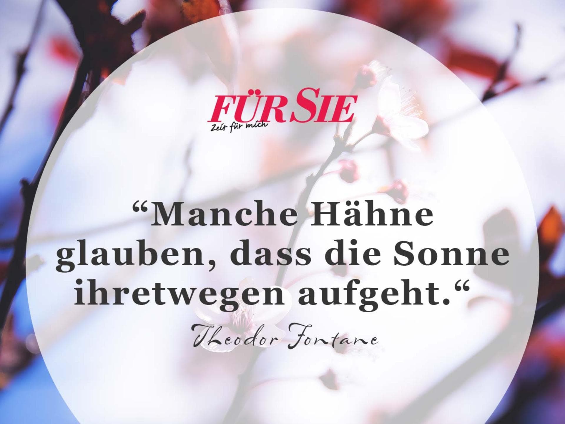 Spruch des Tages