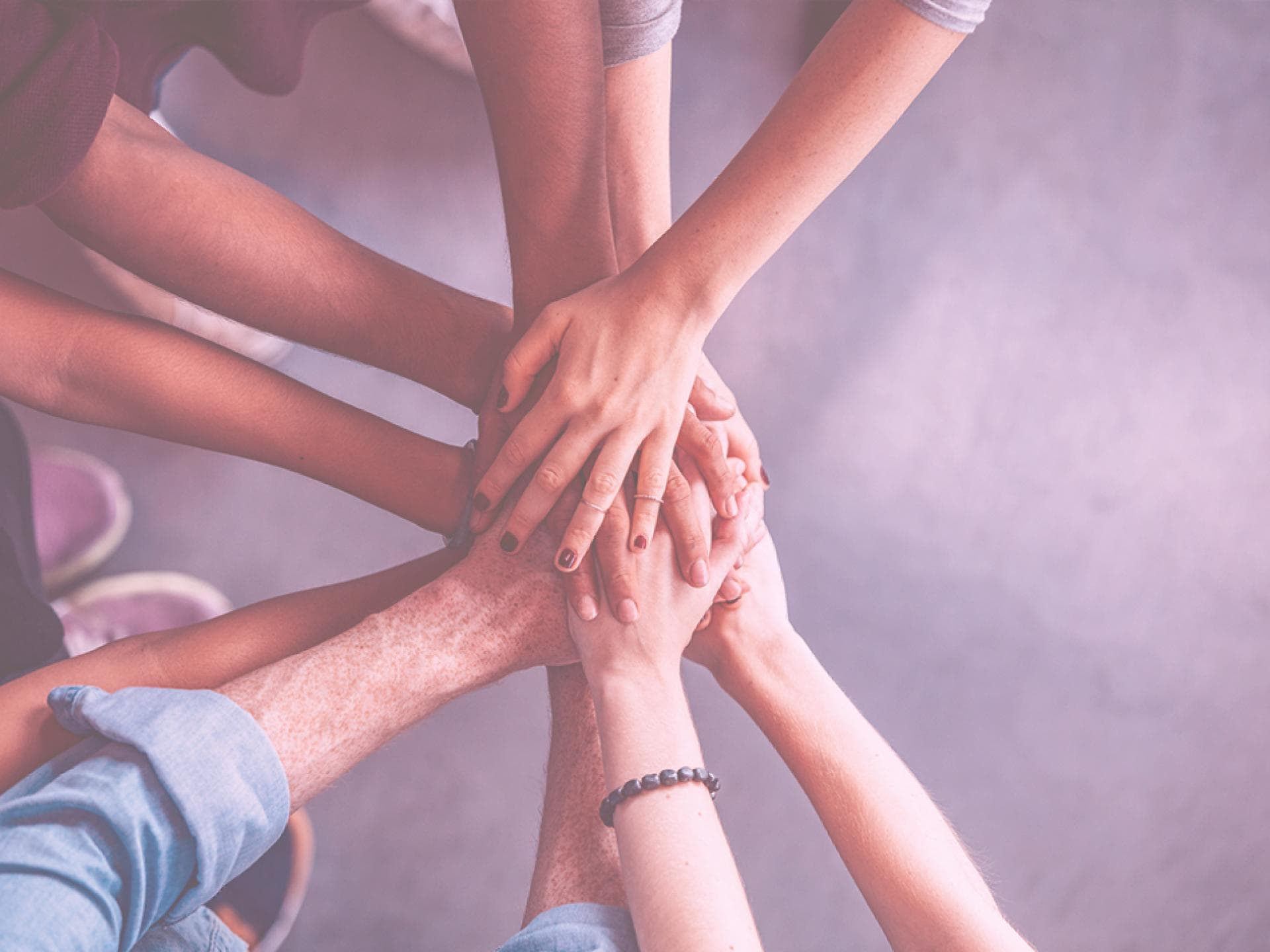 FÜR SIE College: Unsere Kooperationspartner