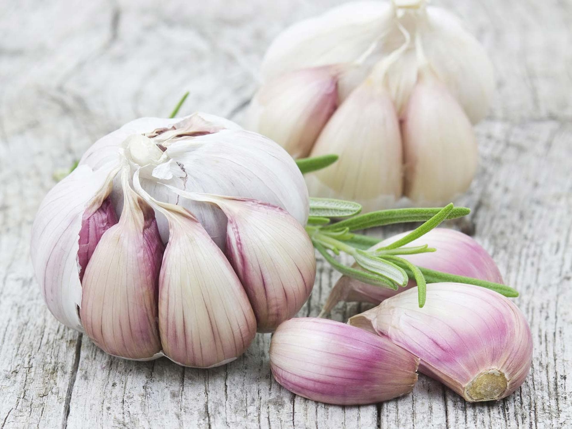 Knoblauch
