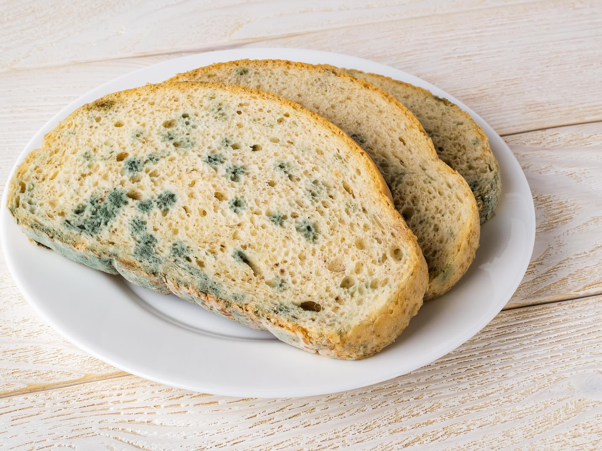 Verschimmeltes Brot