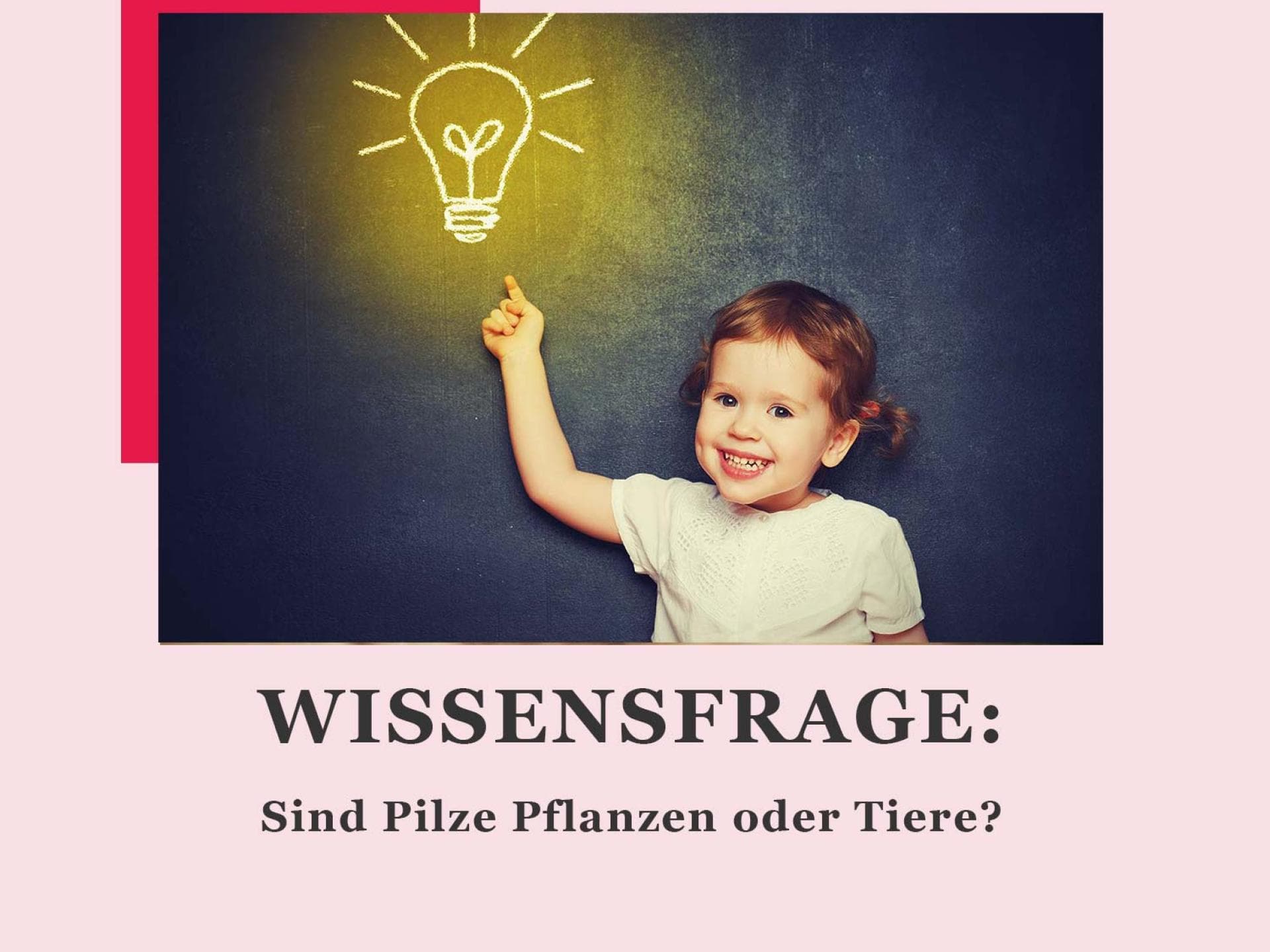 Wissensfrage