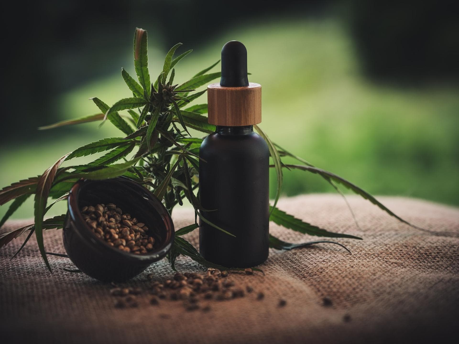 CBD-Öl richtig anwenden