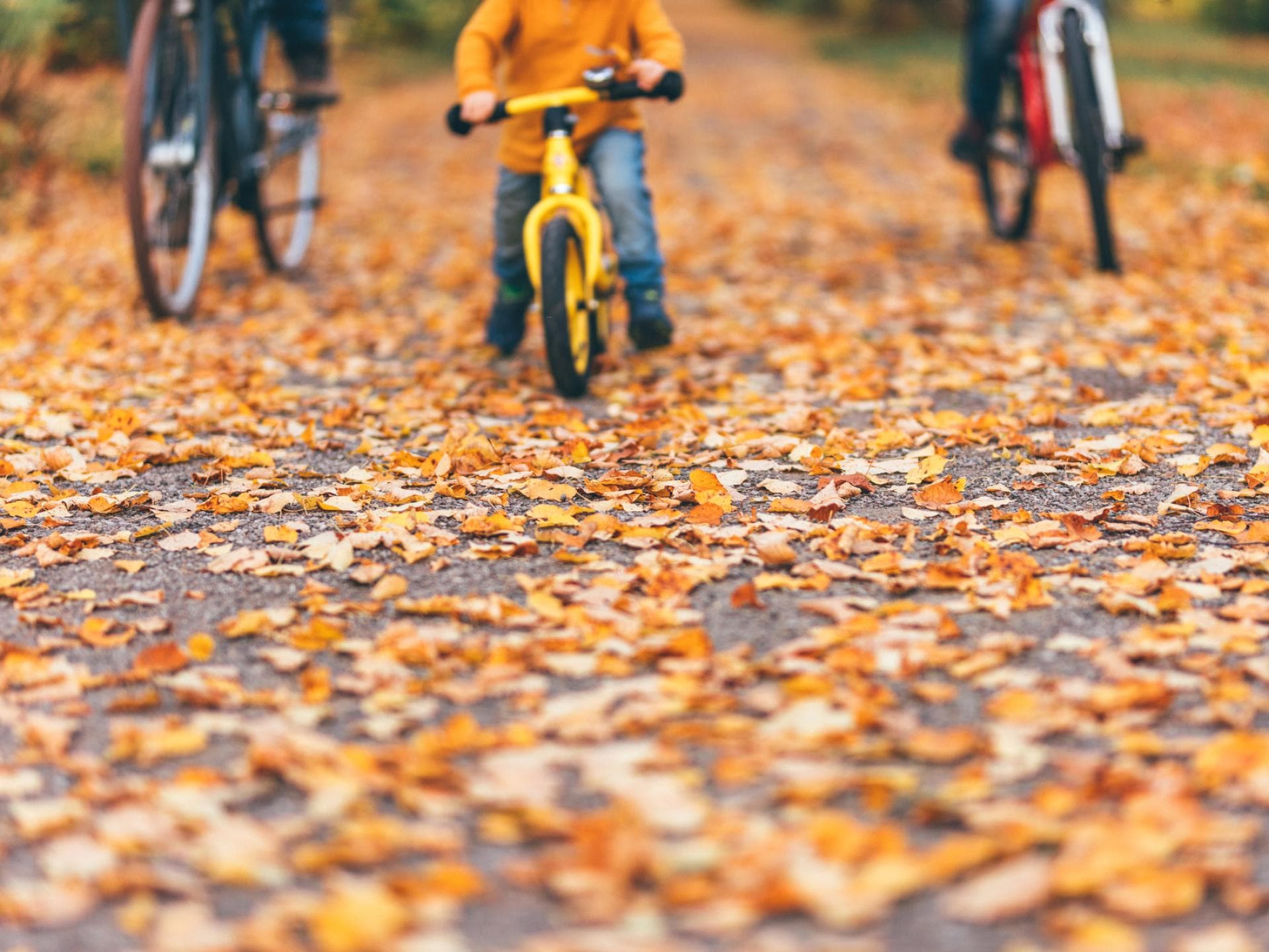 Fahrradfahren im Herbst