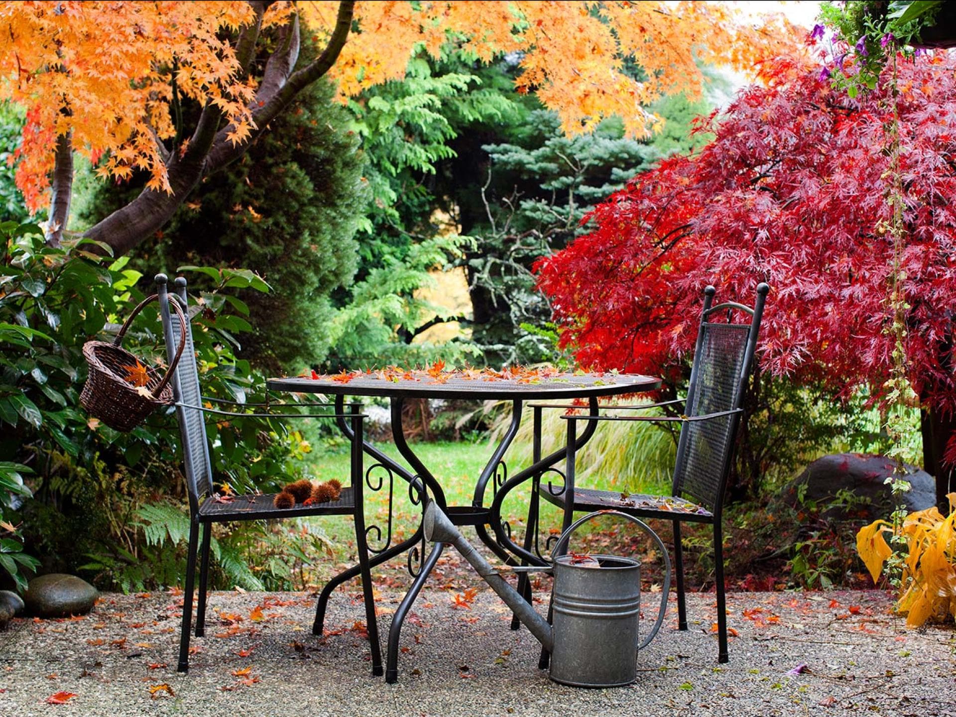 Garten im Herbst