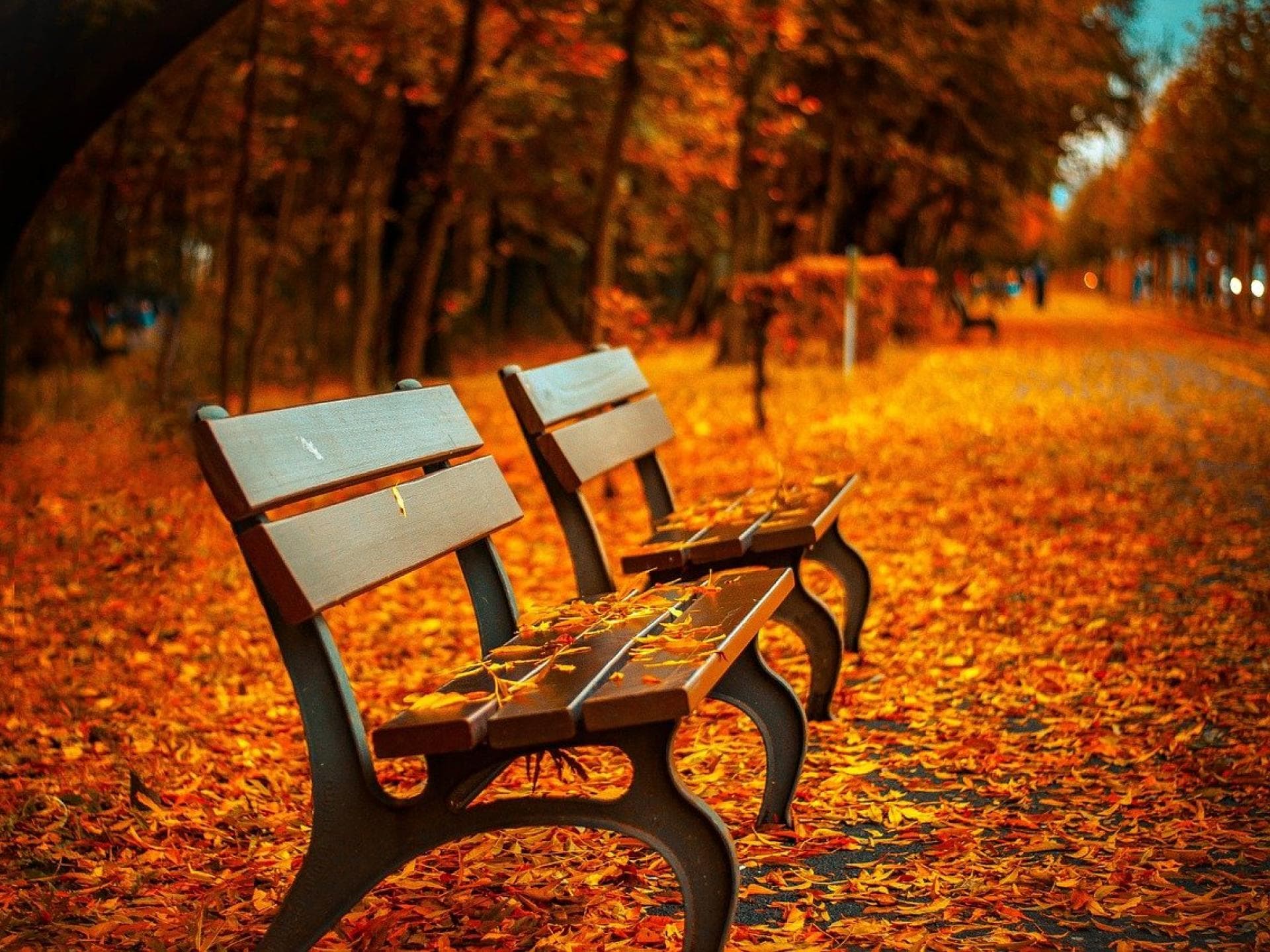 Herbstbilder