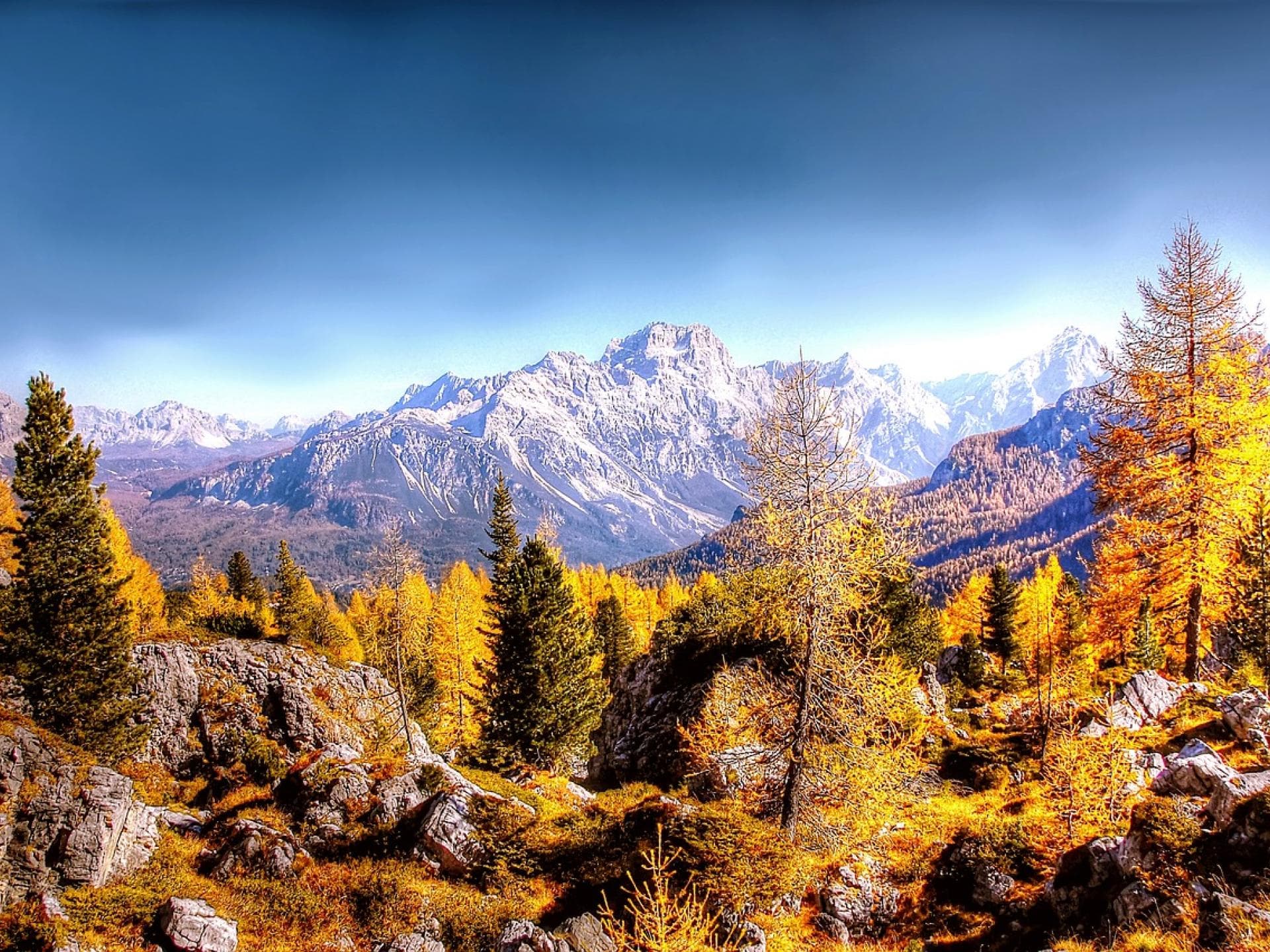Herbstbilder