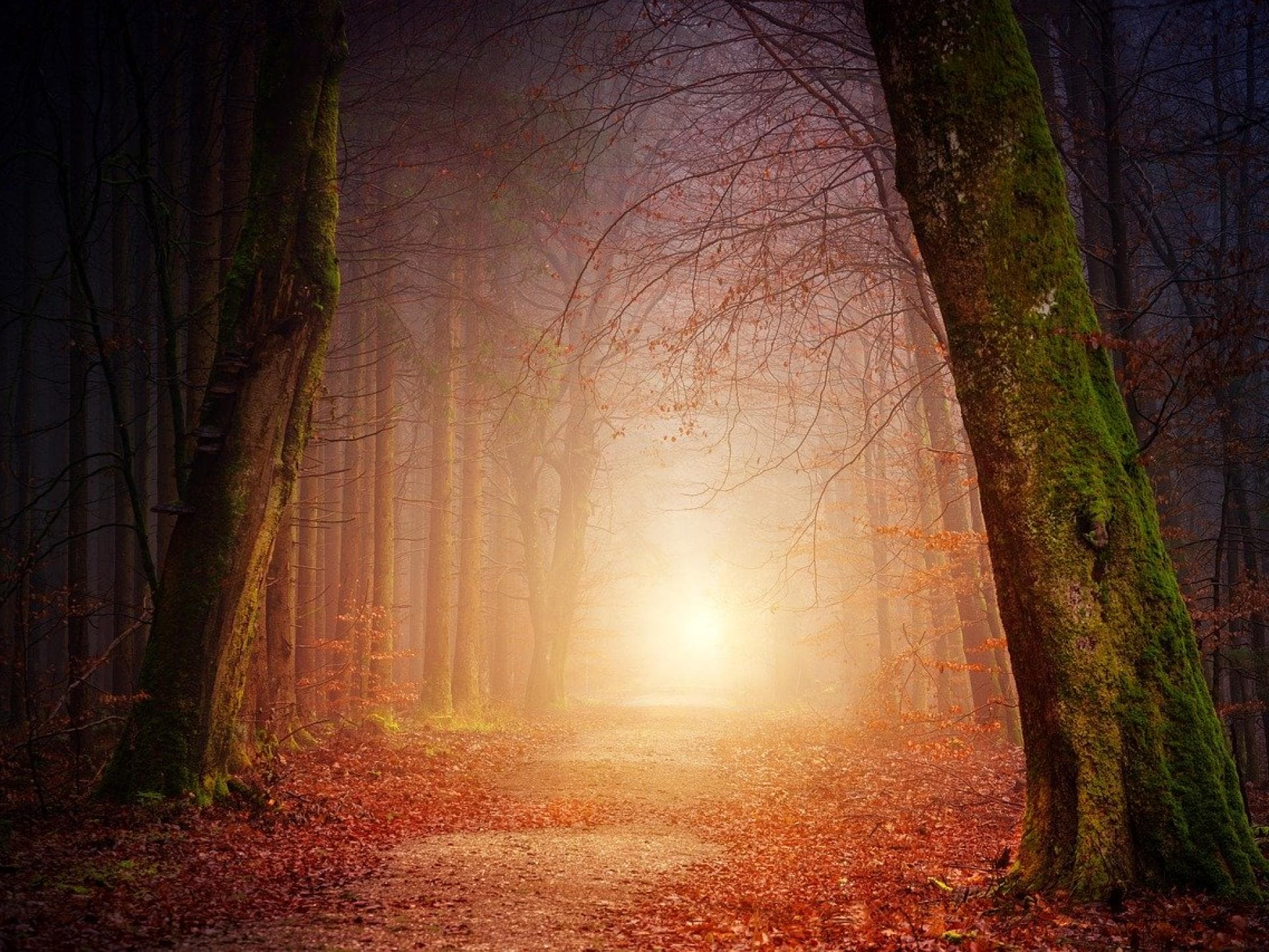 Herbstbilder