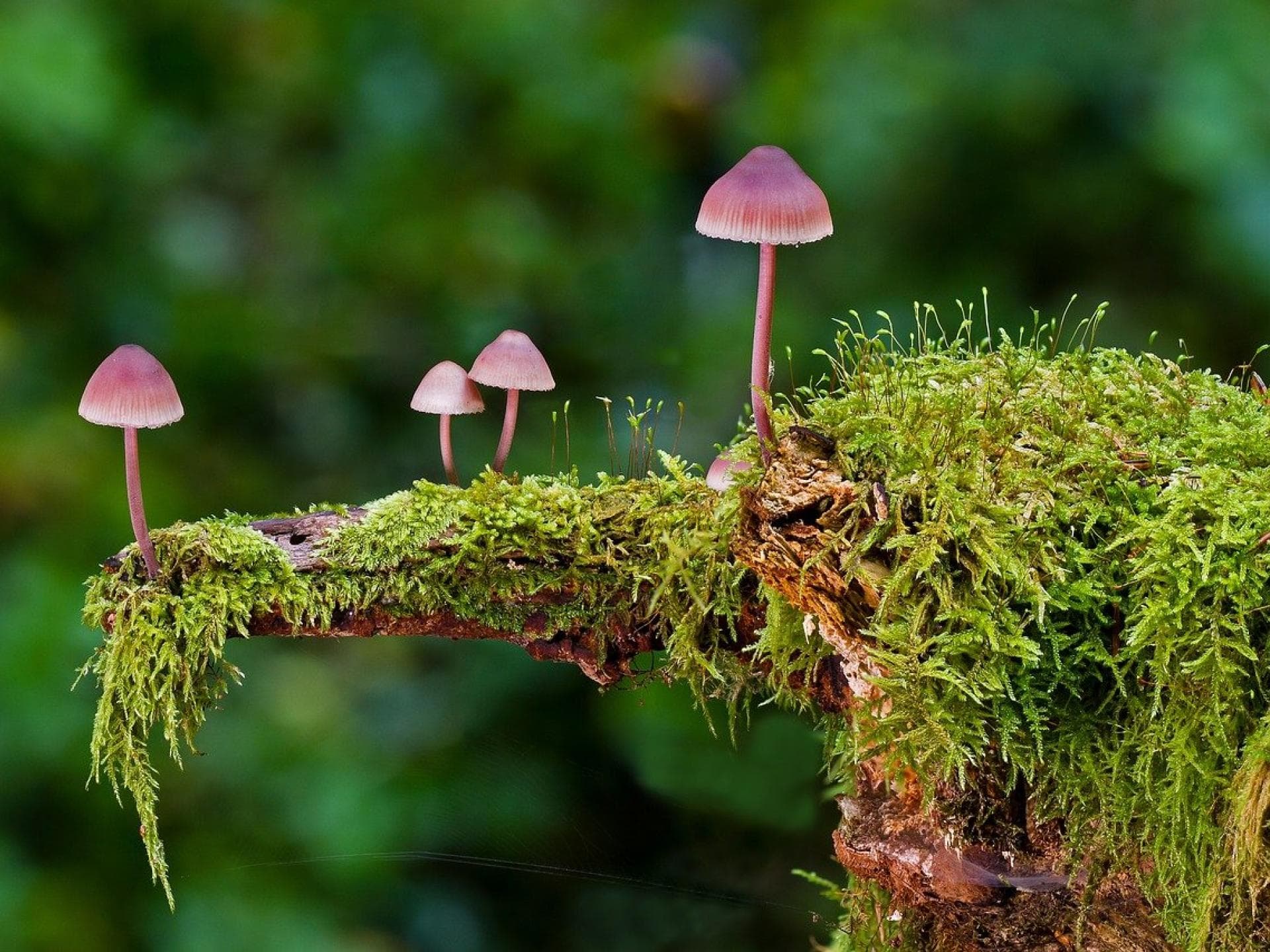 Herbstbilder