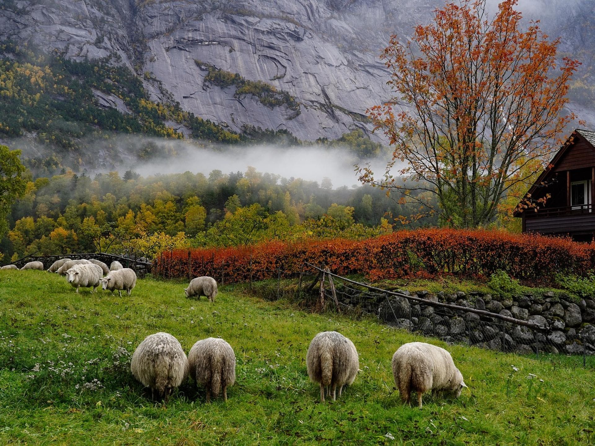 Herbstbilder