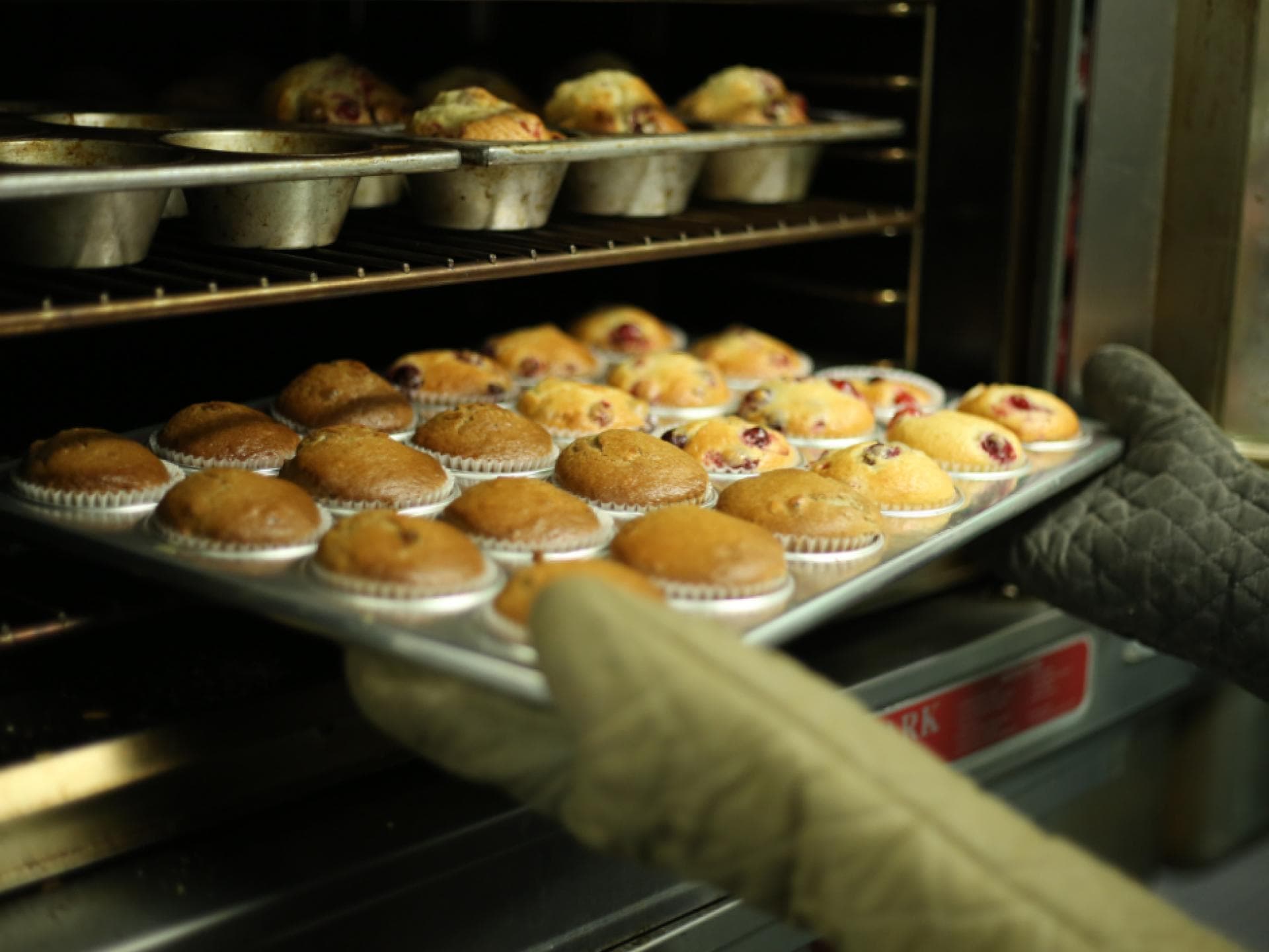 Muffins aus dem Ofen