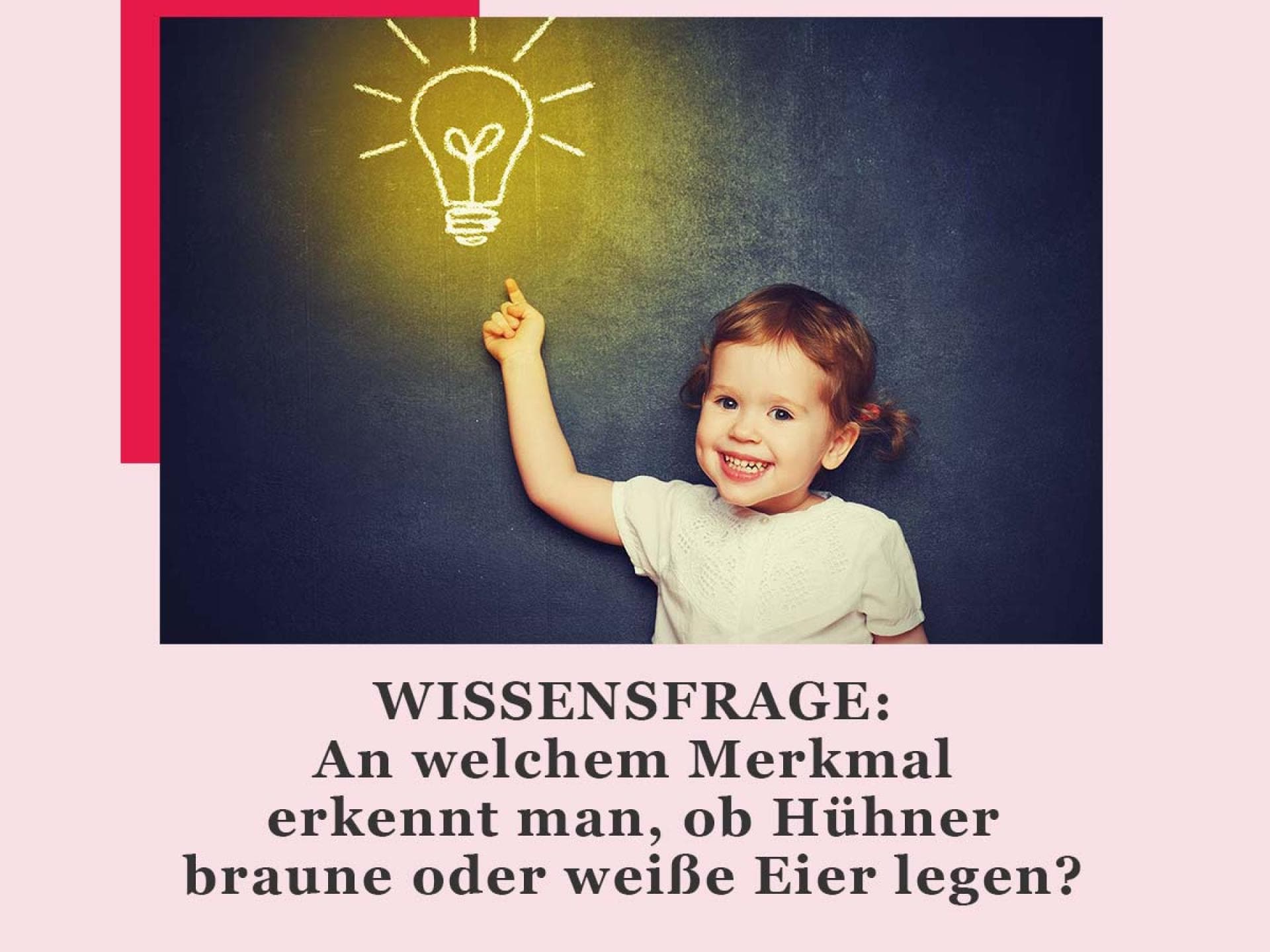 Wissensfrage