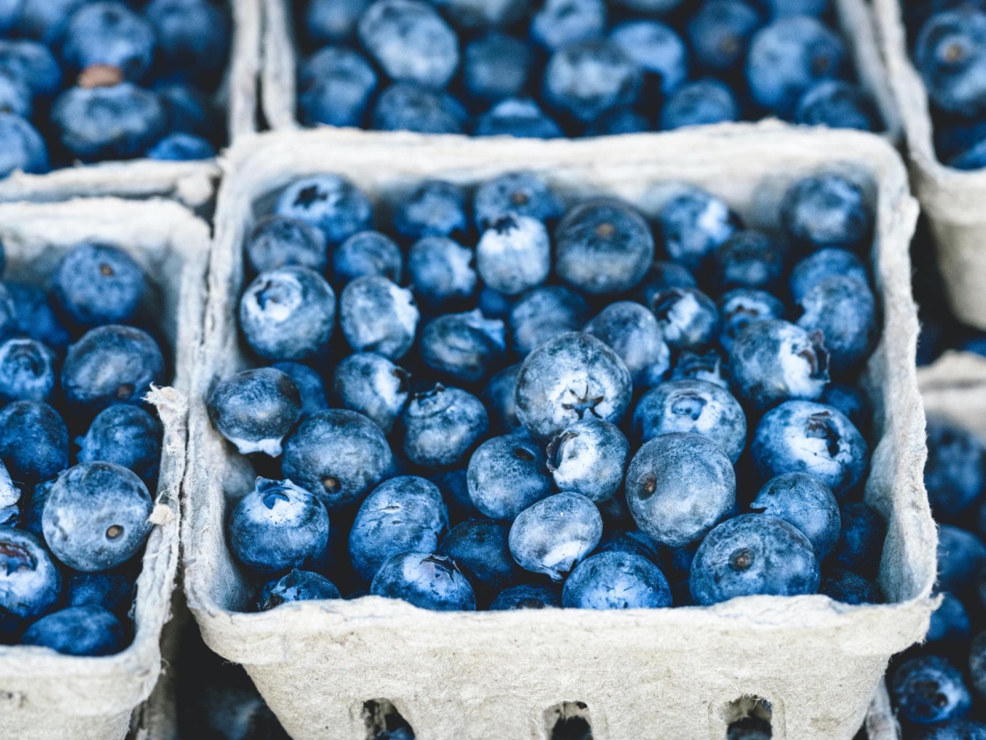 Blaubeeren