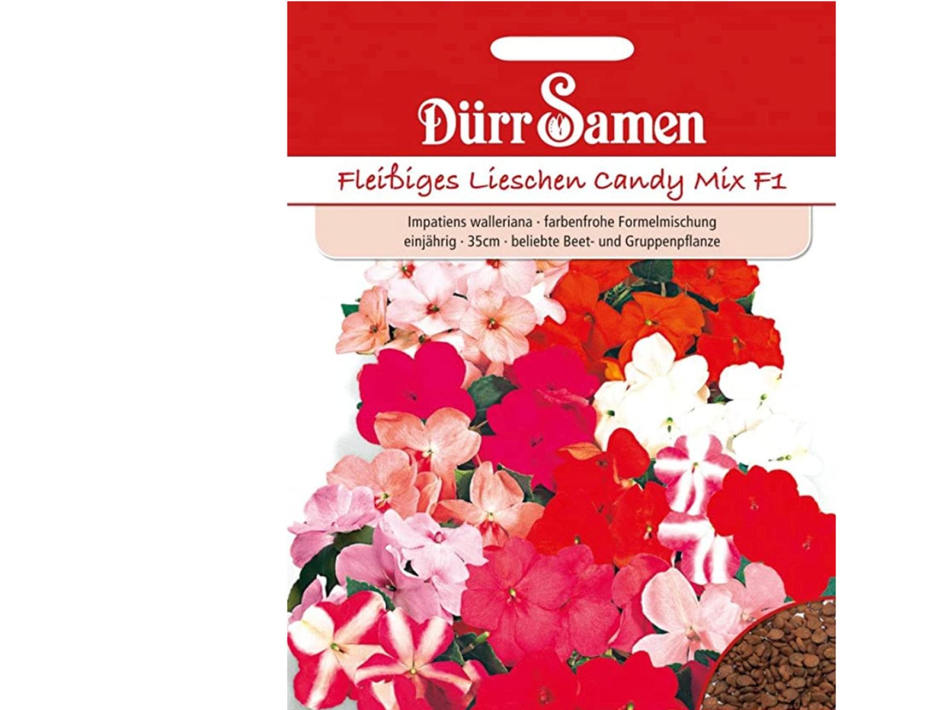 Fleißiges Lieschen