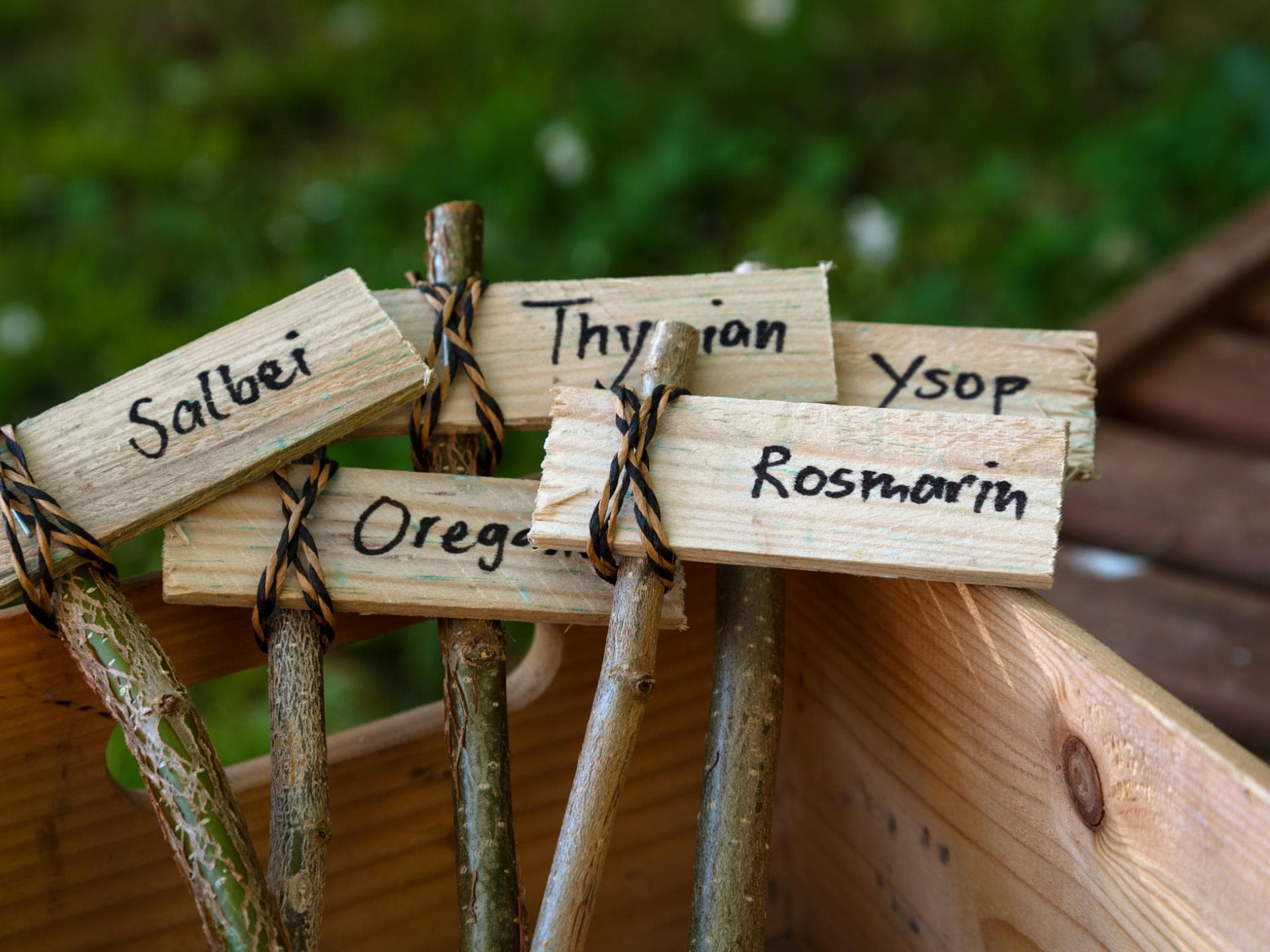 Holzschilder für Pflanzen