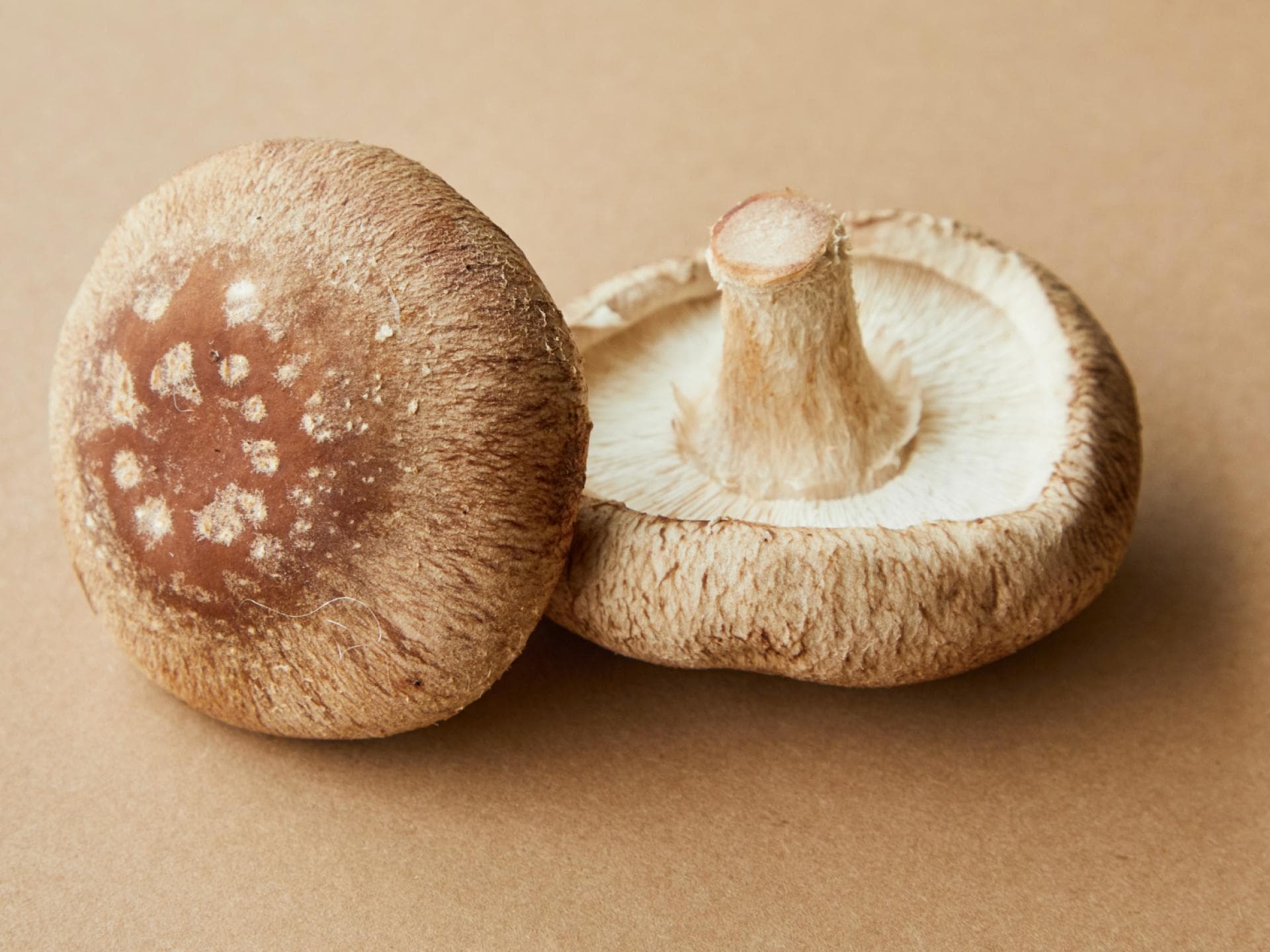 Pilze auf braunem Untergrund