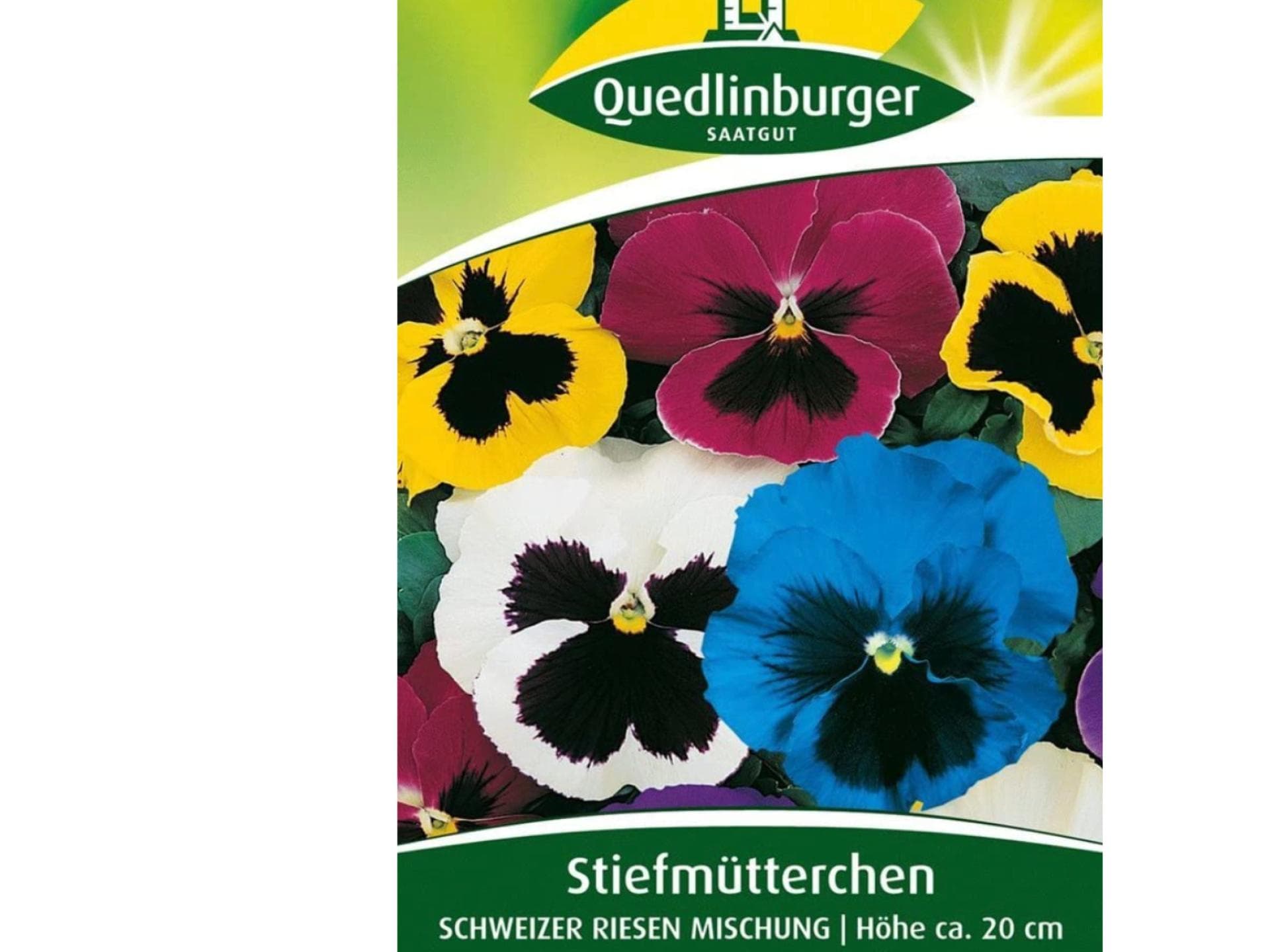 Riesenstiefmütterchen