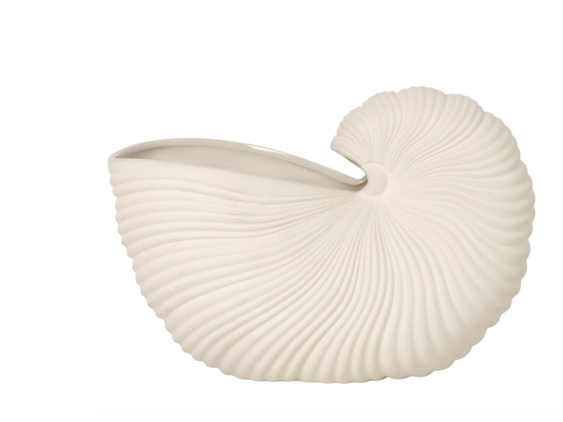 Muschelvase 