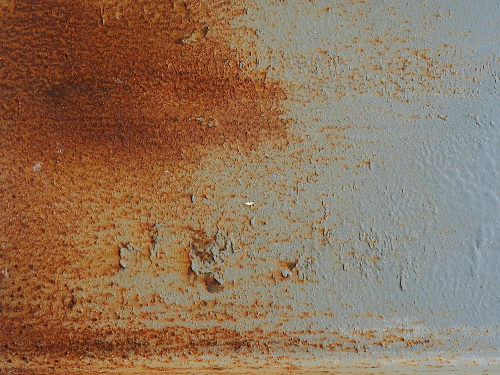 Rost