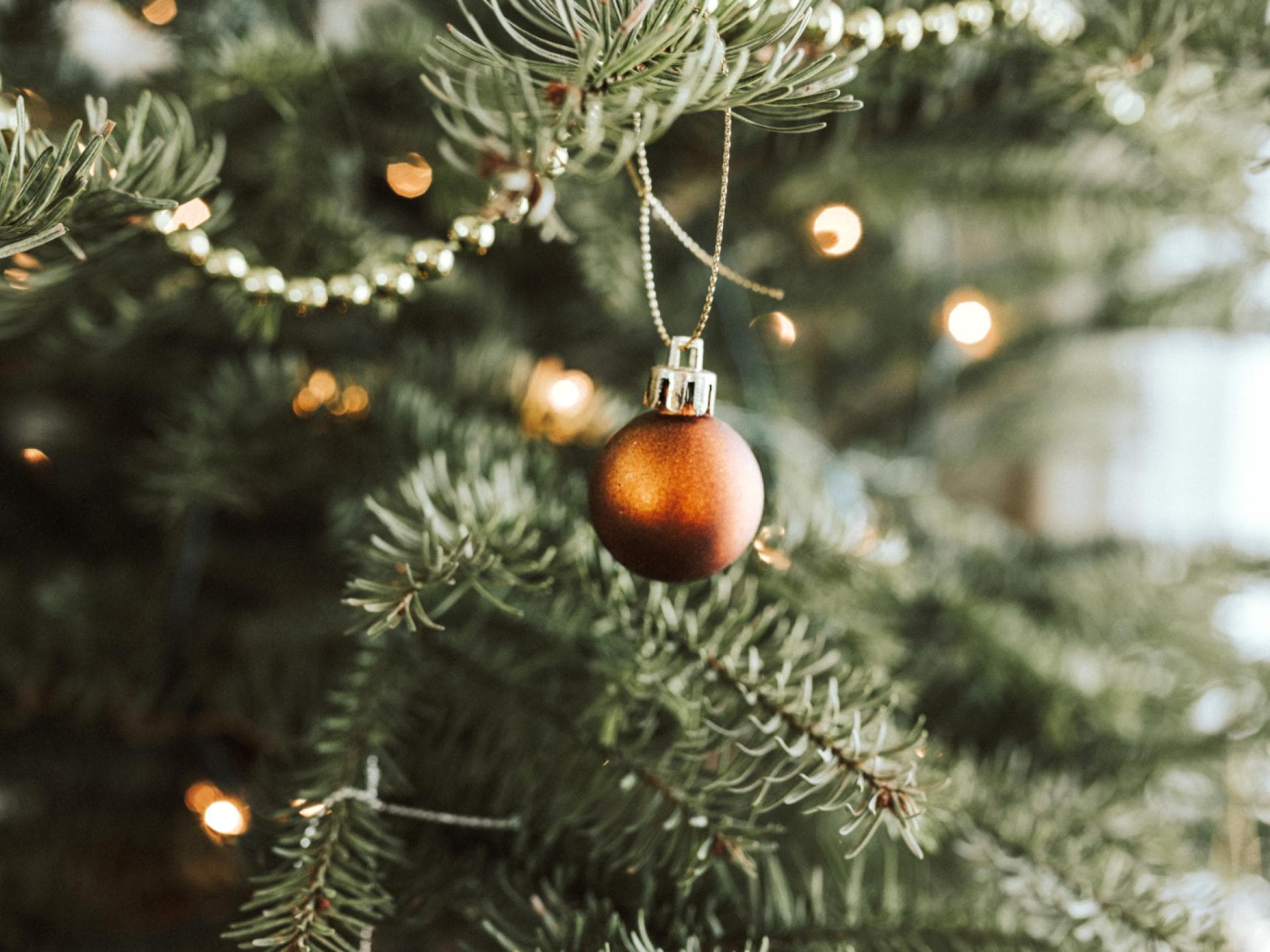 Weihnachtsbaum frisch halten