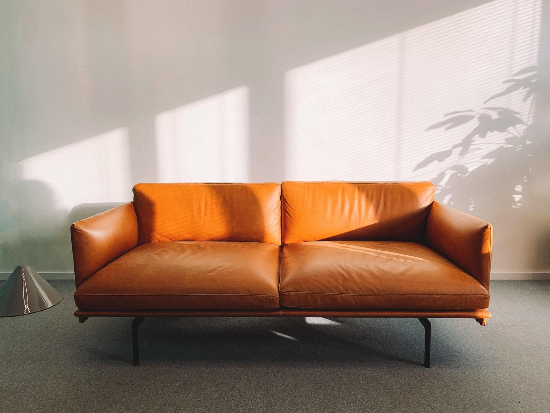Sauberes Ledersofa