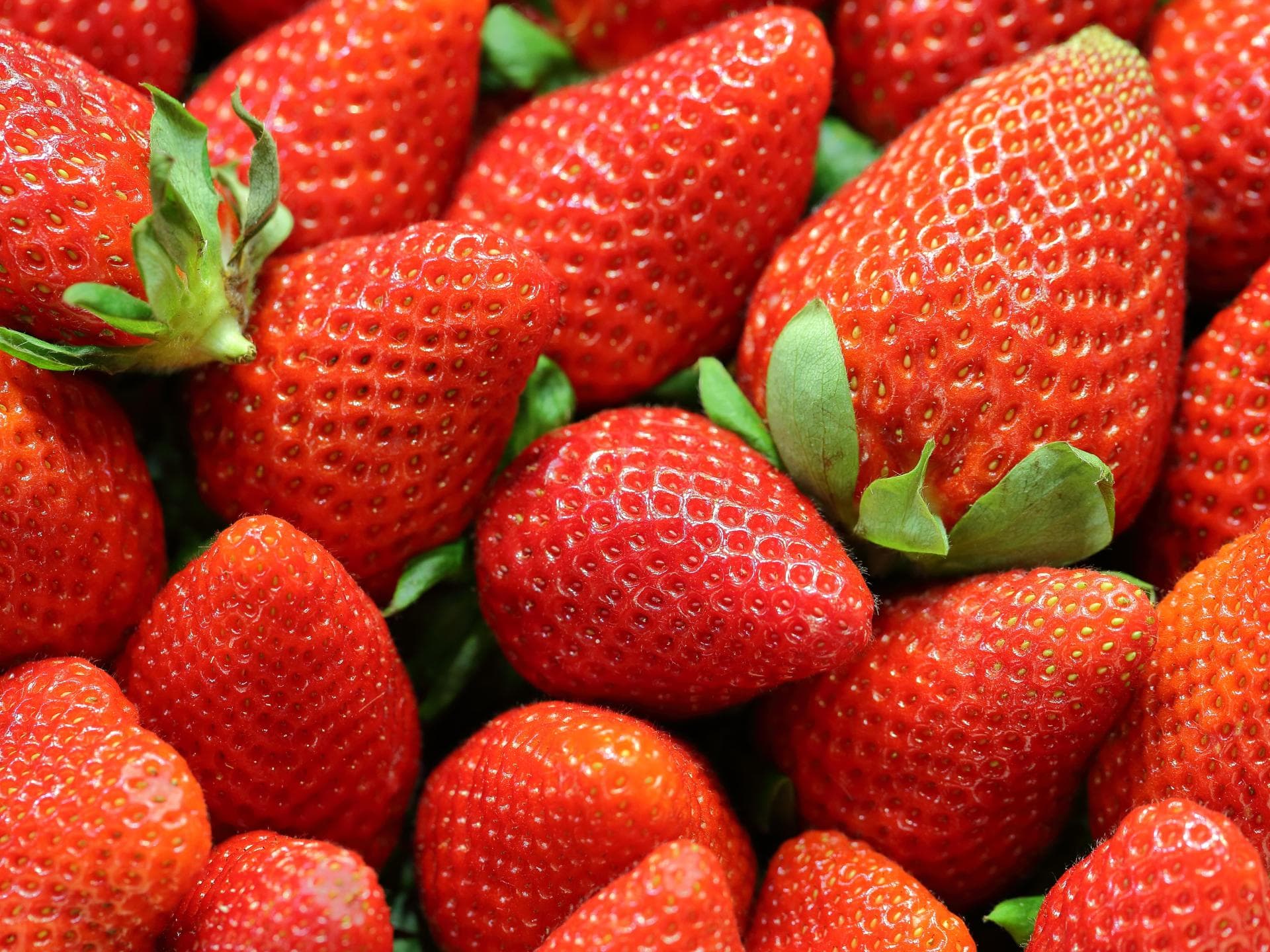 Erdbeeren 