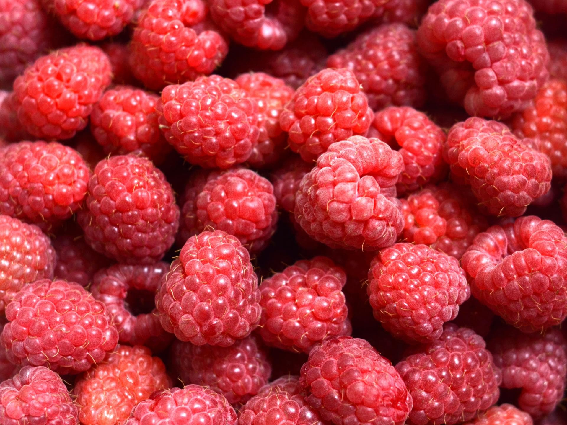 Himbeeren 